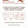Dengue 2